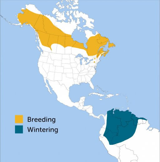 Blackpoll Warbler range map by ABC